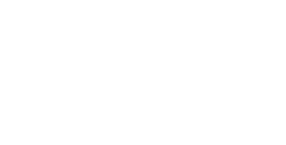 Inter Logo
