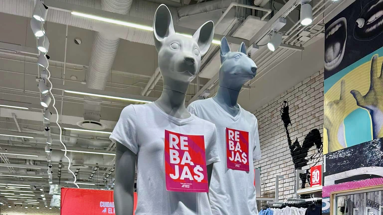 CDATA[
Cuidado con el Perro es una de esas tiendas que en los últimos años logró una expansión rápida y sorprendente, convirtiéndose en una marca que ya forma parte de la cultura popular mexicana y que no falta en ninguna plaza comercial.
![