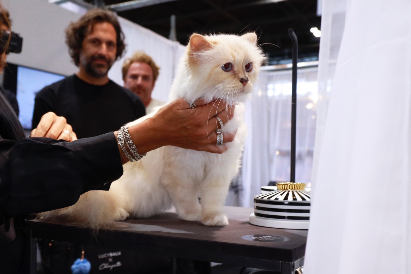choupette-karl-lagerfeld-ruina-herencia