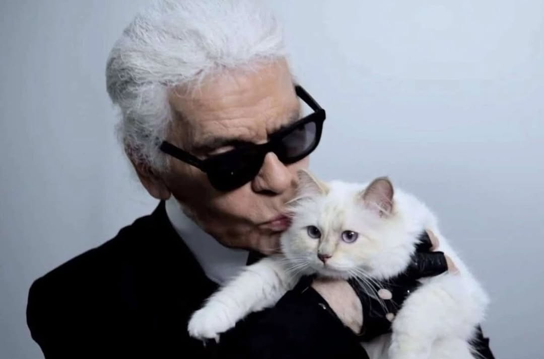 choupette-karl-lagerfeld-ruina-herencia