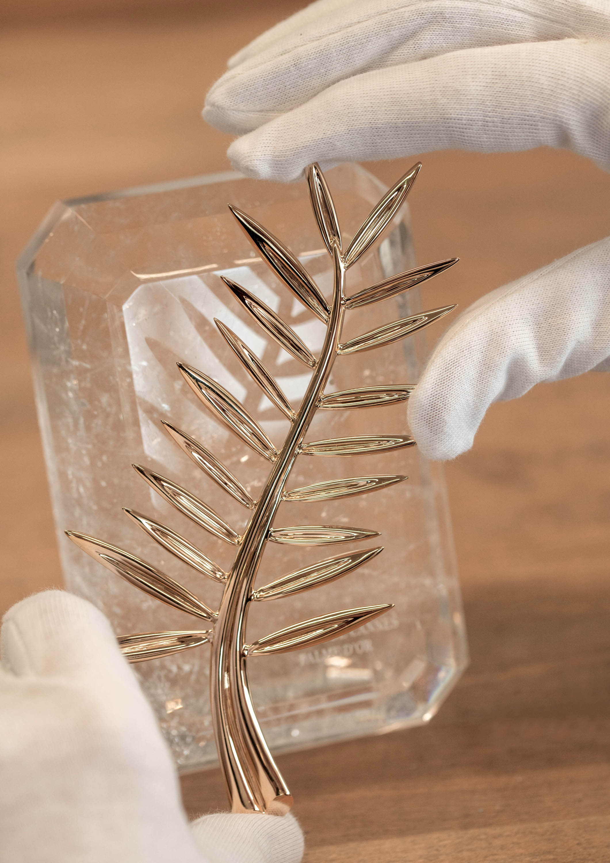 palme d'or palma de oro chopard cannes