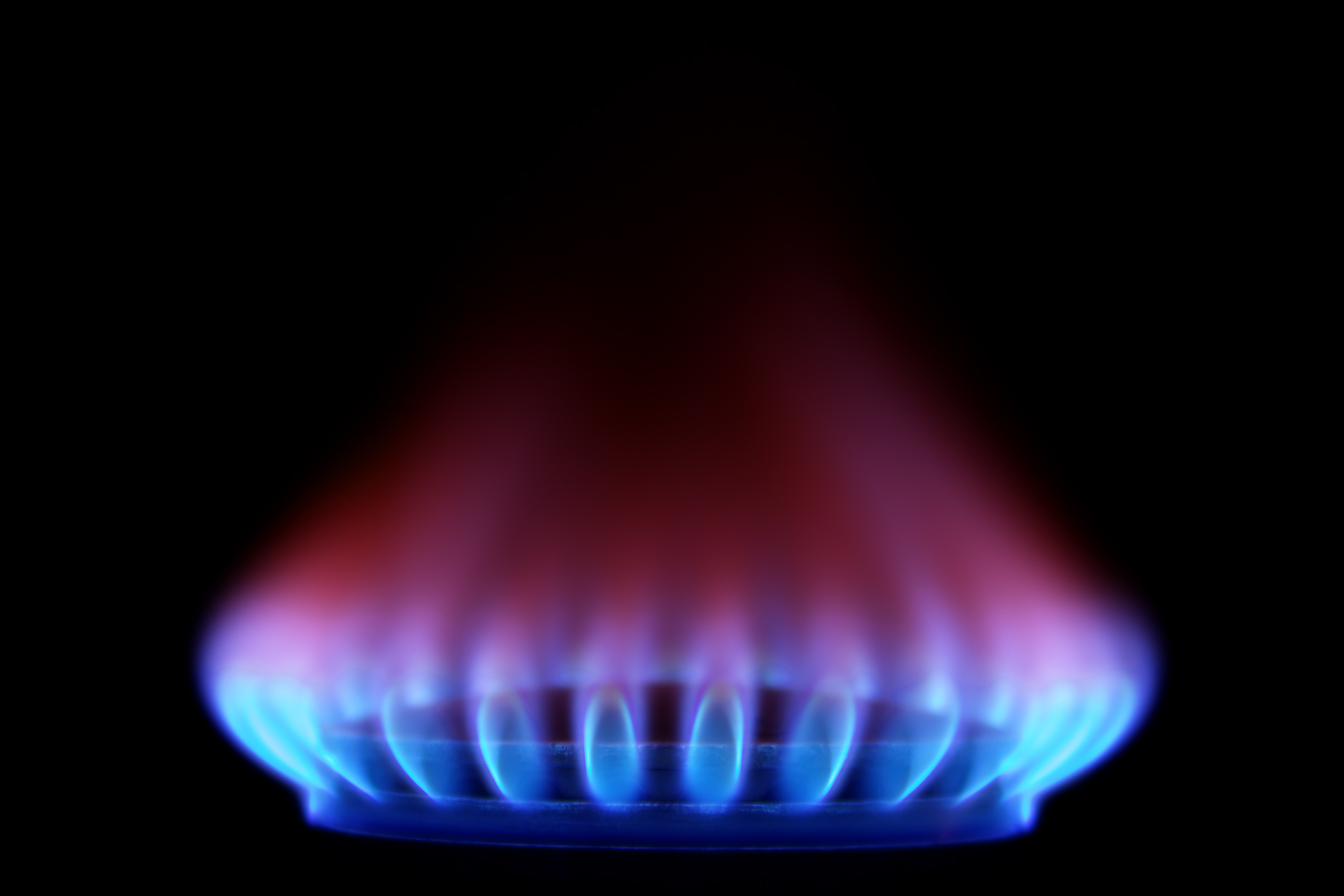 ¿Se puede fijar el precio del gas LP? - Vimarsana News
