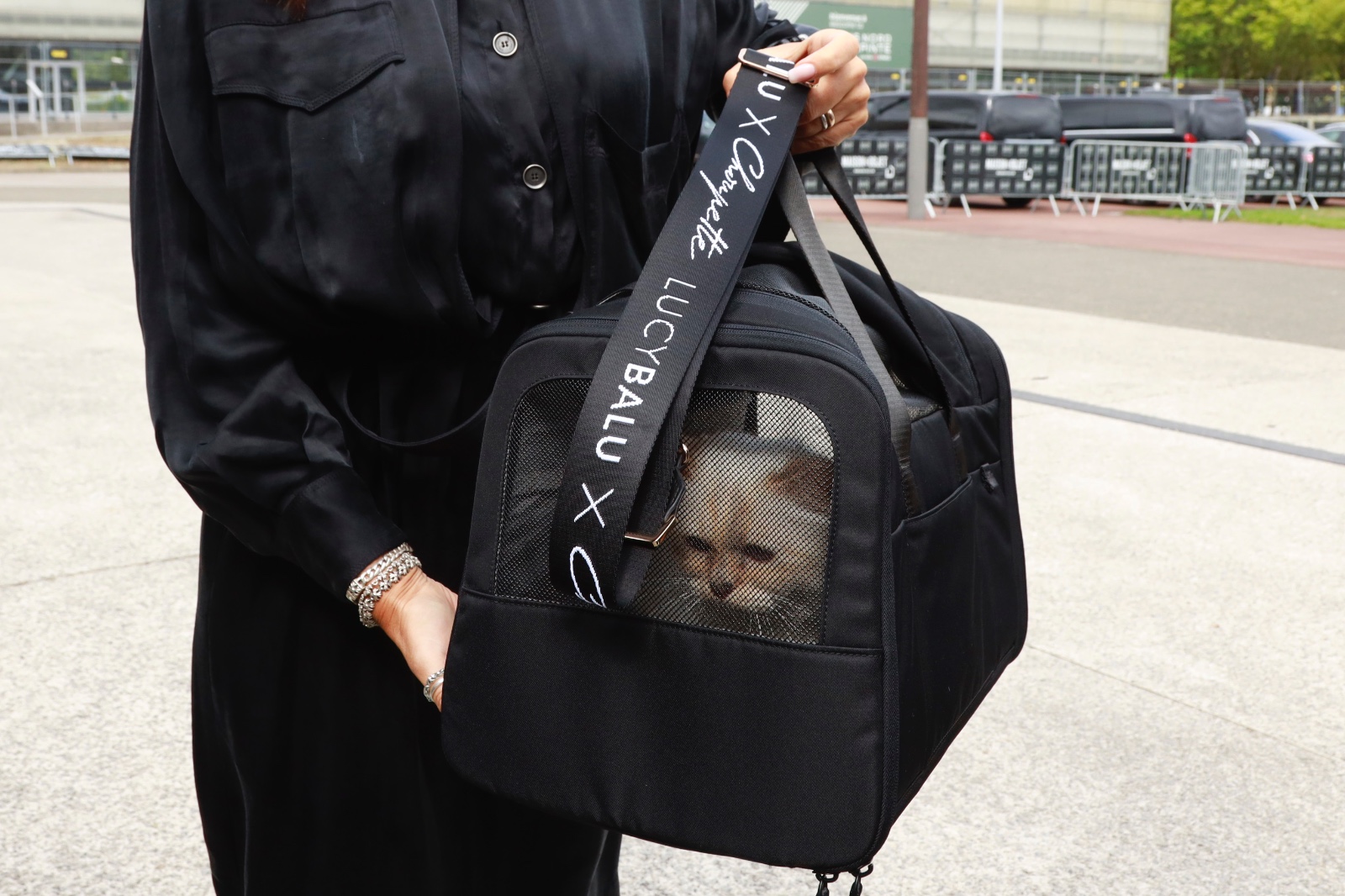 choupette-karl-lagerfeld-ruina-herencia