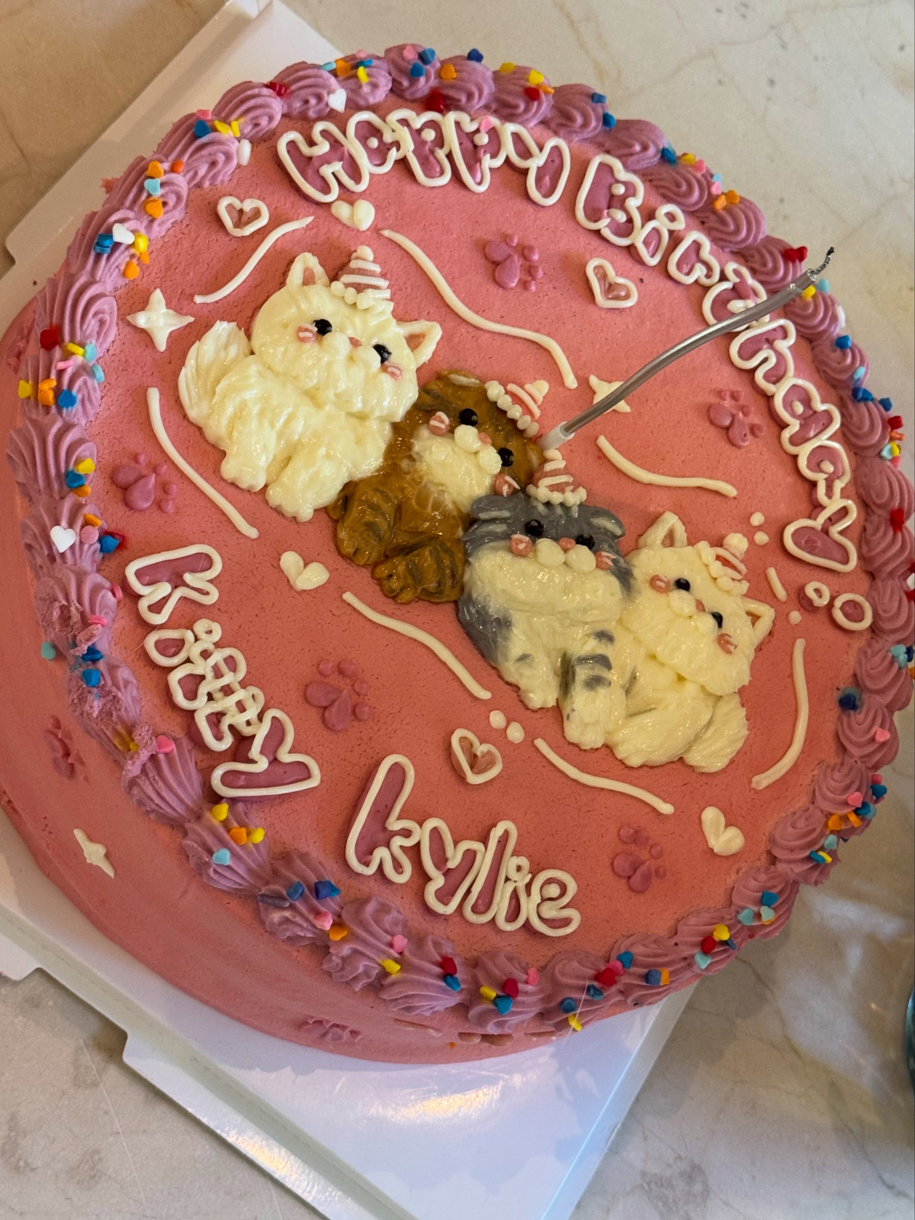 KYLIE-BDAY-CAKE-2.jpg