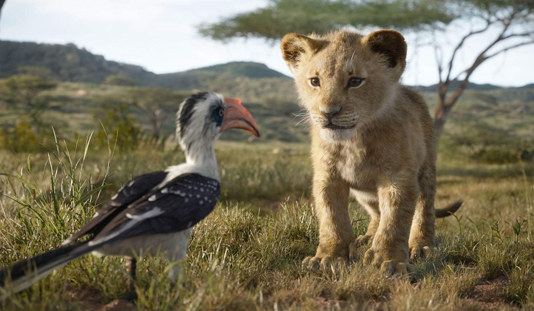 Hakuna Matata Disney Lanza Nuevo Tráiler De El Rey León