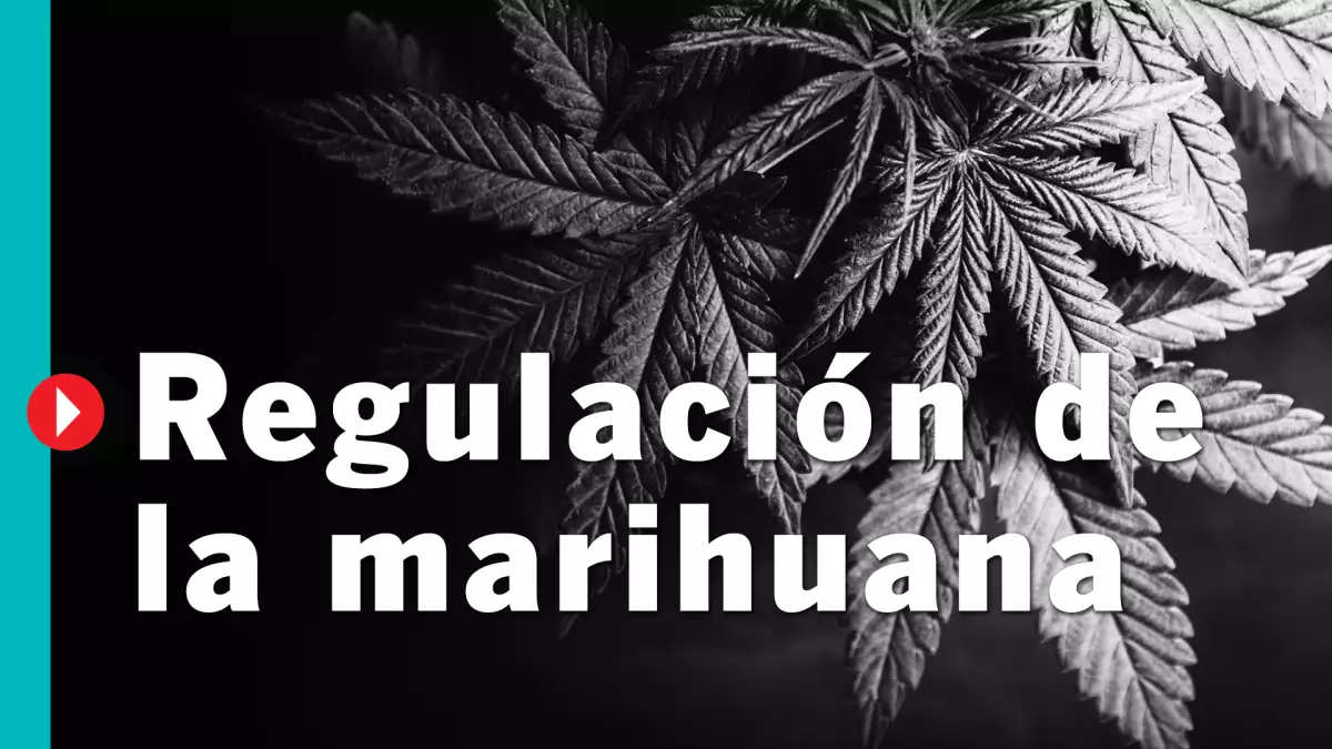 #QuéPasóCon la regulación de la marihuana?