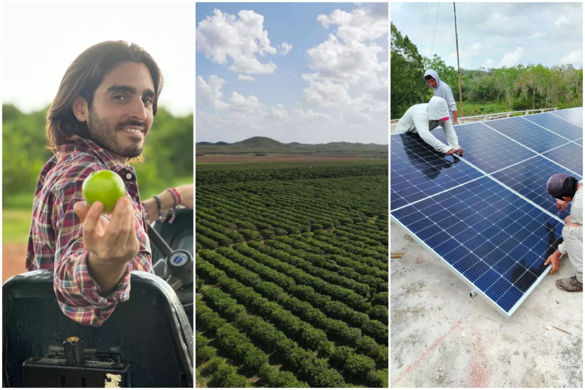 Se ofrece un modelo de inversión en el campo.