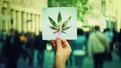 4/20: ¿Qué significa y cómo surgió el día de la marihuana? 