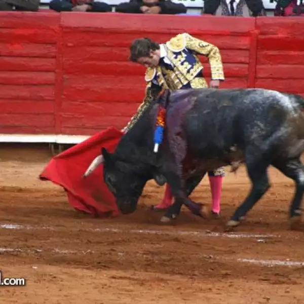 toros 1 fecha
