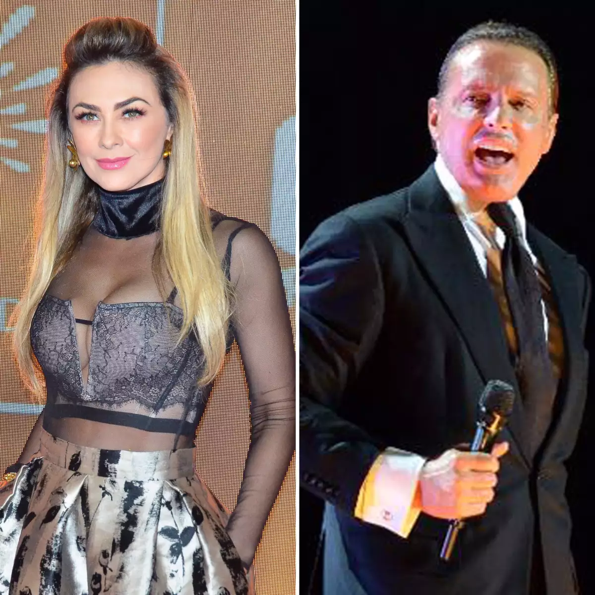 aracely-luis-miguel.JPG