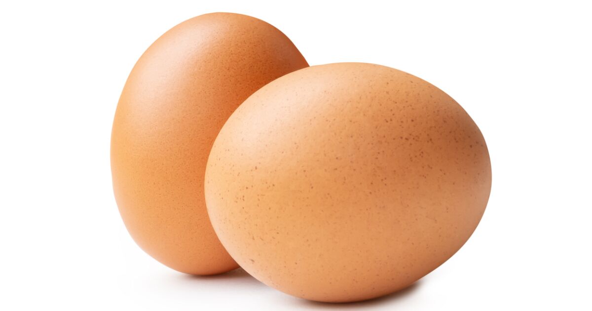 Protein Çeşitlendirme Üç Aylık Bachoco satışlarını teşvik ediyor