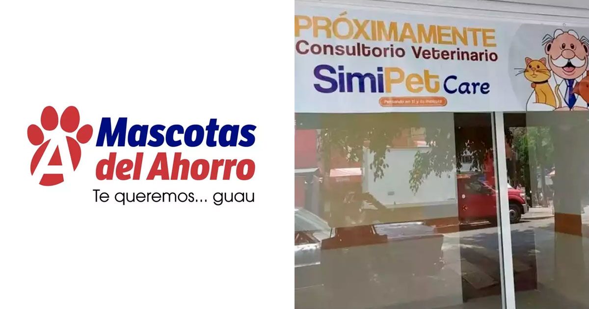 Evcil hayvan pazarı için mücadele