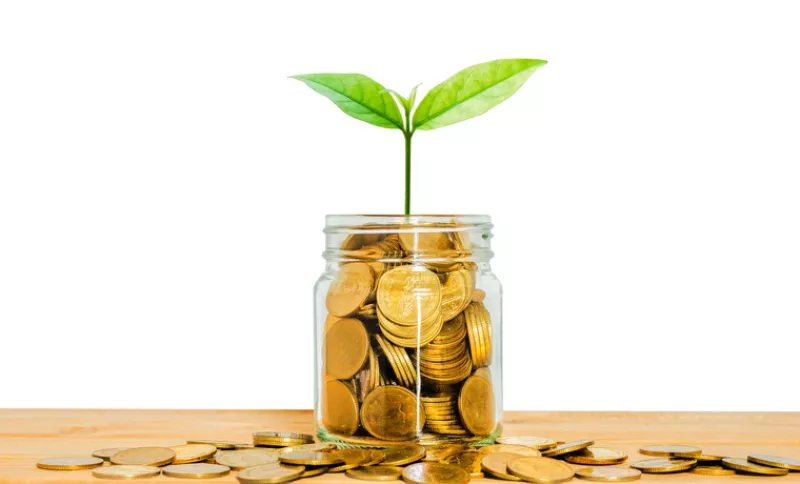 Una planta emerge de un bote con monedas.