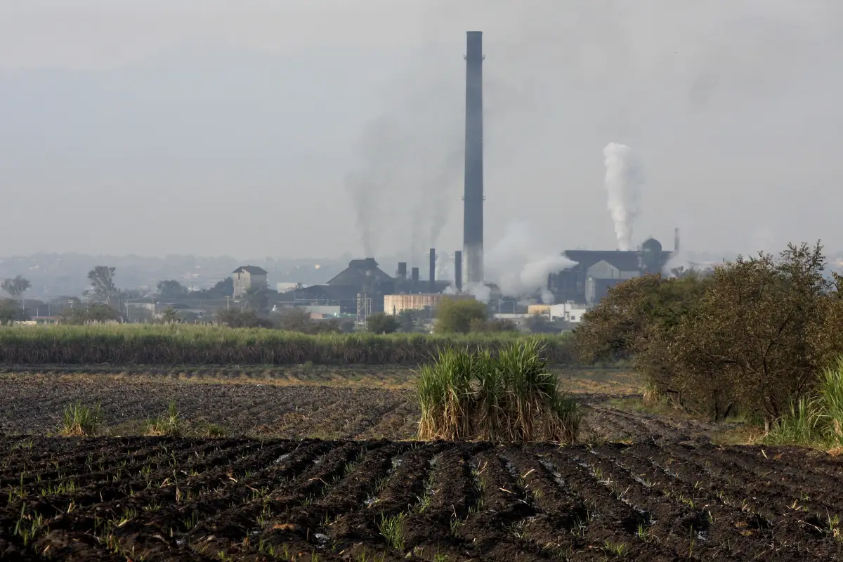 Industria_Azucarera_Can771era-8.jpg
