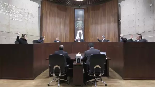 Los magistrados electorales votan.