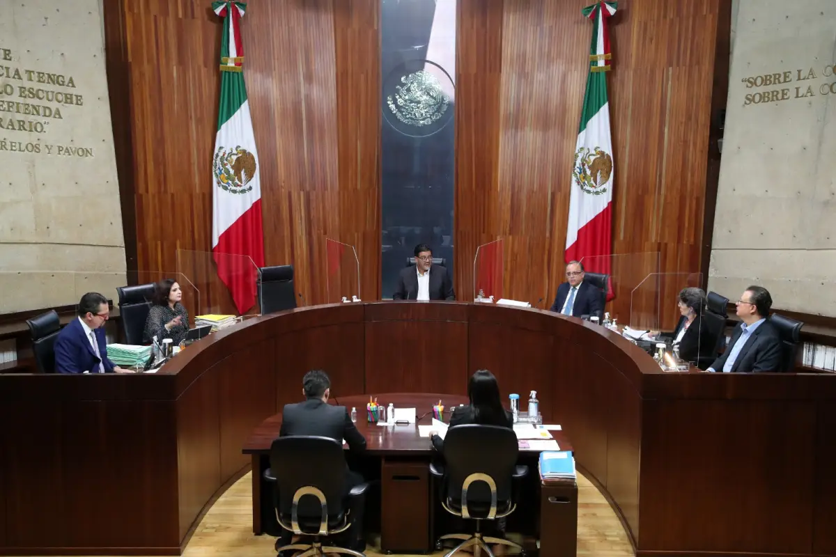 tribunal electoral.jpeg