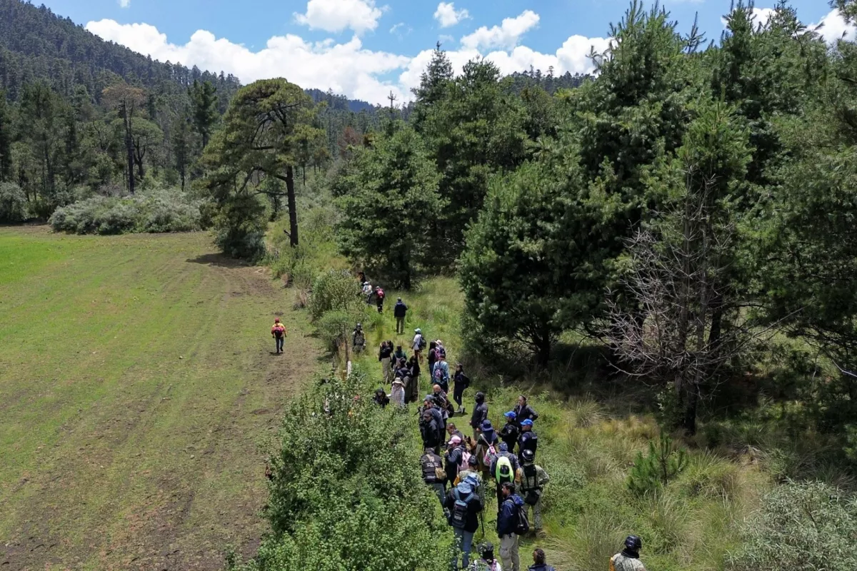 Búsqueda Amelí  Ajusco