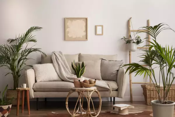 Habitación decorada con varias plantas