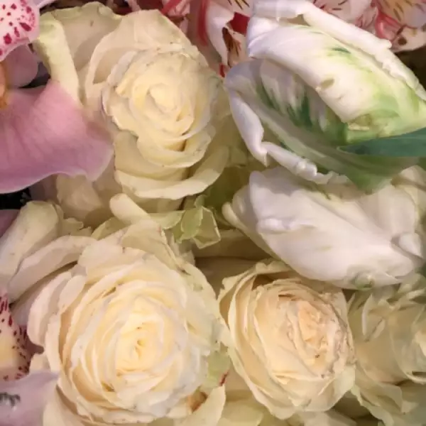 Kim Kardashian recibió decenas de flores por su cumple 37