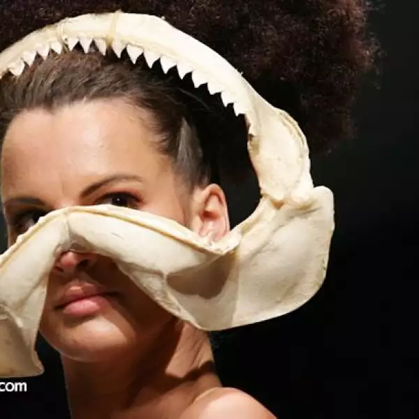 MBDF Pasarela Gian Franco Reni