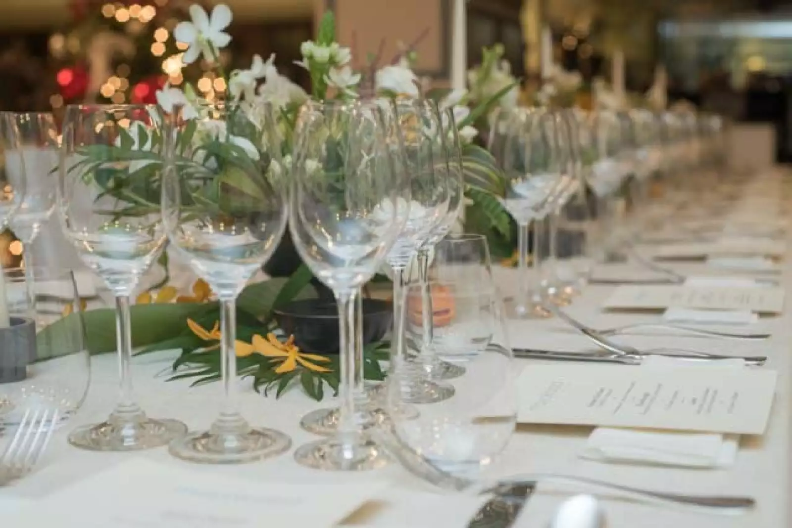 Cena en casa de Paulina Díaz Ordaz