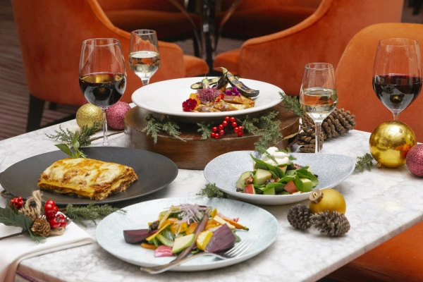jPark_Hyatt_Navidad_22.jpg