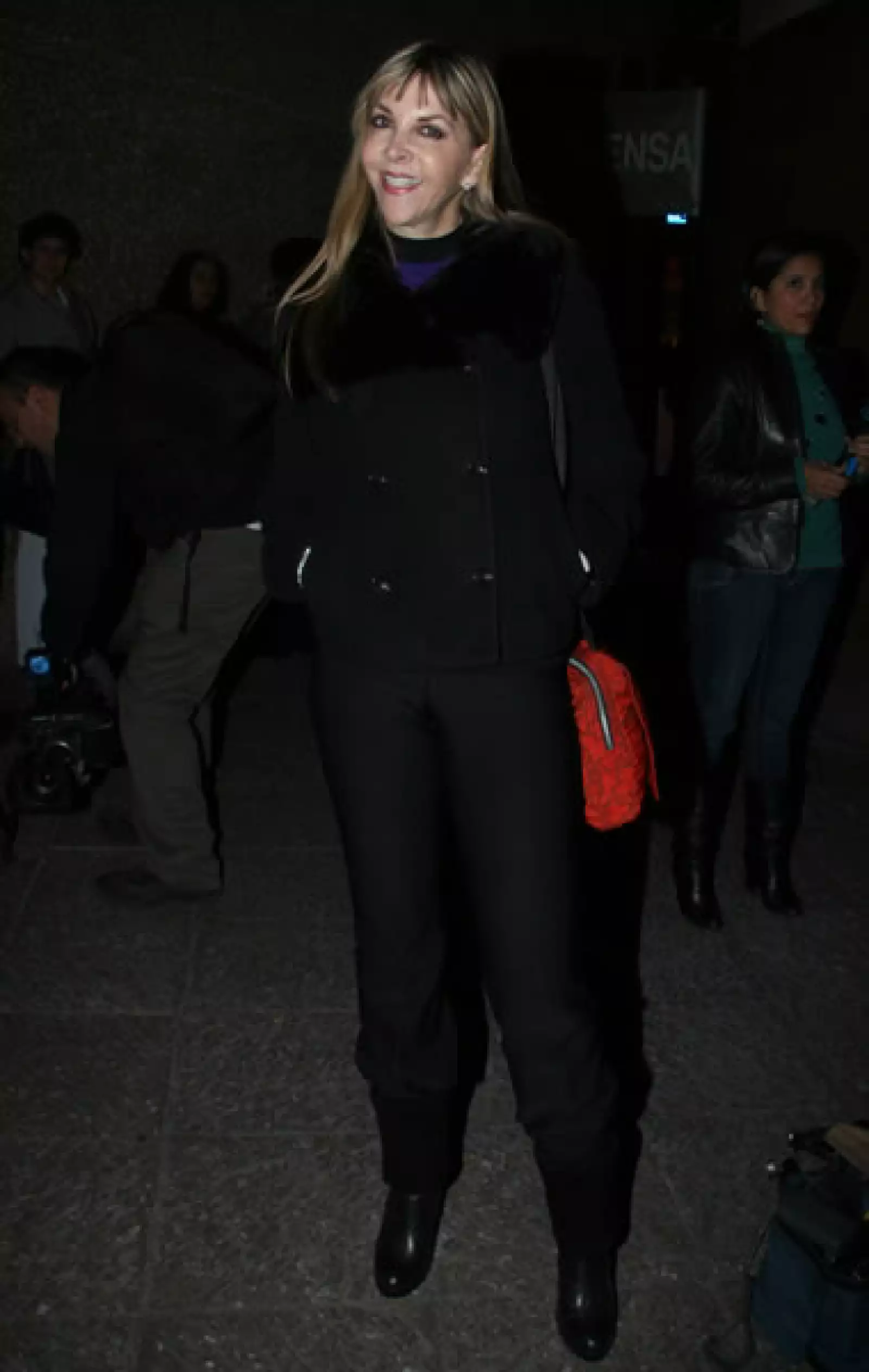 Aspectos, concierto de Luis Miguel.