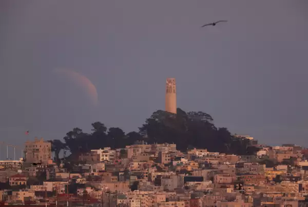 Blood Moon Eclipse Seen Across American Night Skies