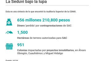 Seduvi Auditoría gráfico