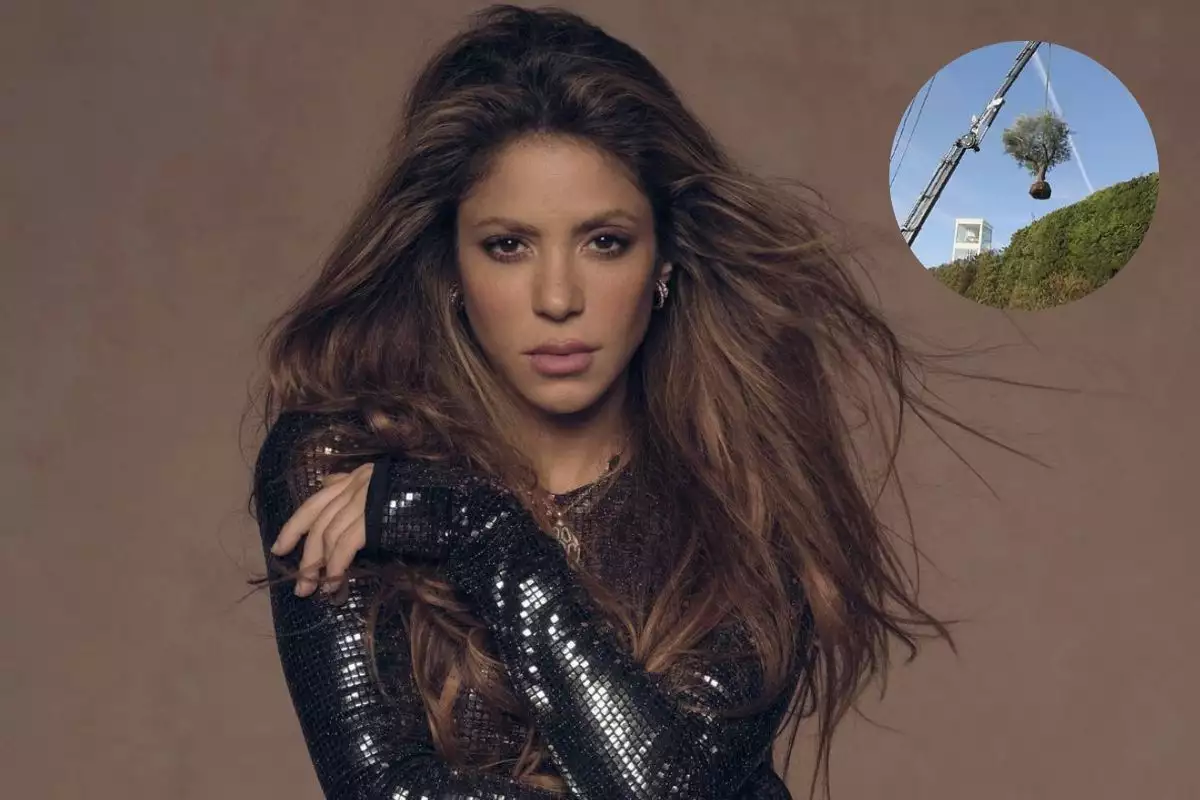 Shakira se lleva su árbol de Barcelona 