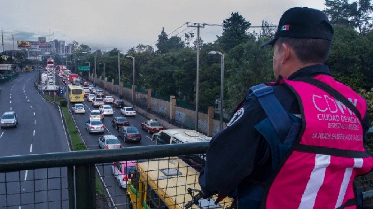 operativo constituyentes