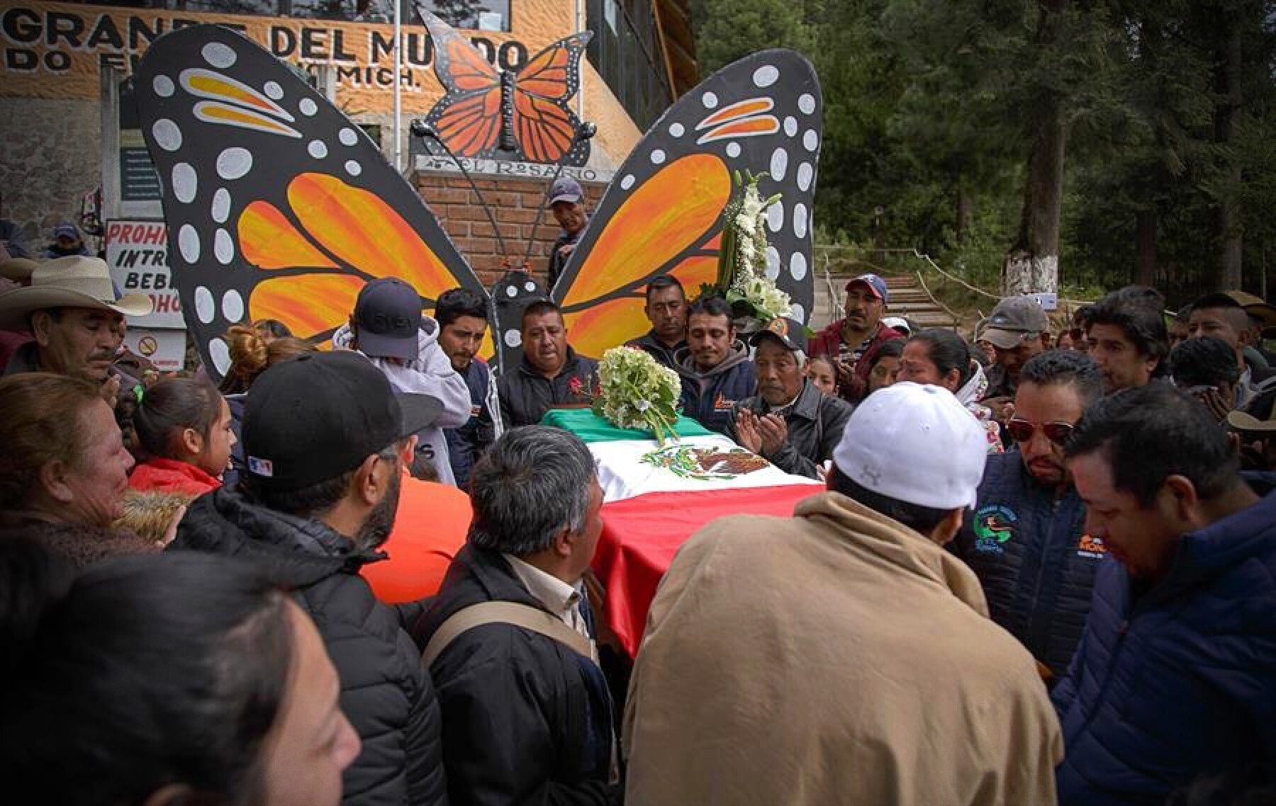 La Unesco Urge A Esclarecer Las Muertes De Dos Defensores De La Mariposa Monarca