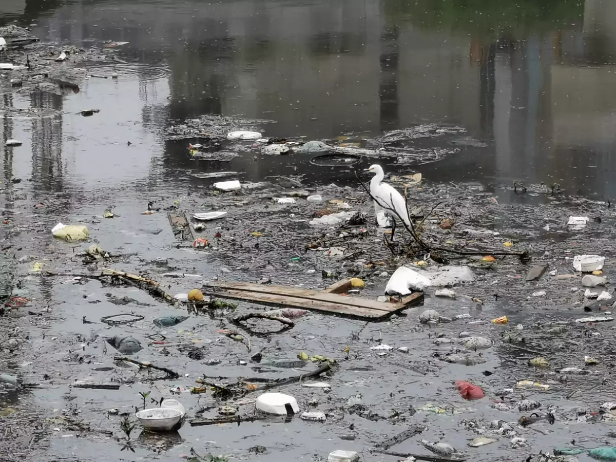 contaminacion rio
