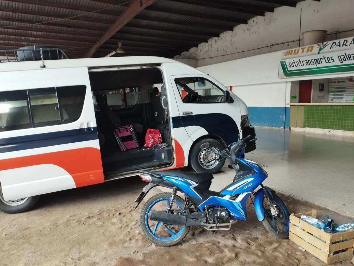 #Chronicle | Aguililla, the land where the Jalisco Cartel originated eagle