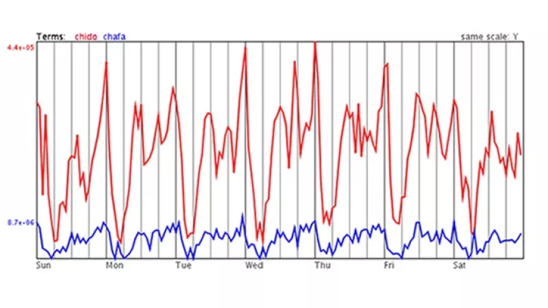 palabras animo mexico