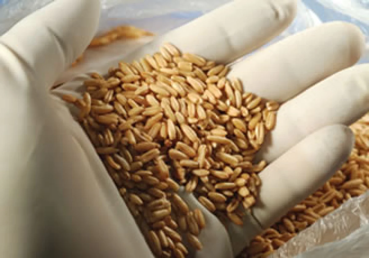 Los precios de los alimentos se ven afectados tanto por el alza en el crudo, como por las condiciones climáticas. (Foto: Photos to go)