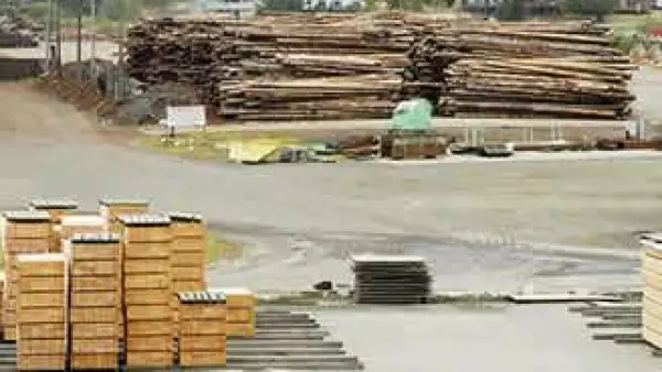 madera_aserradero