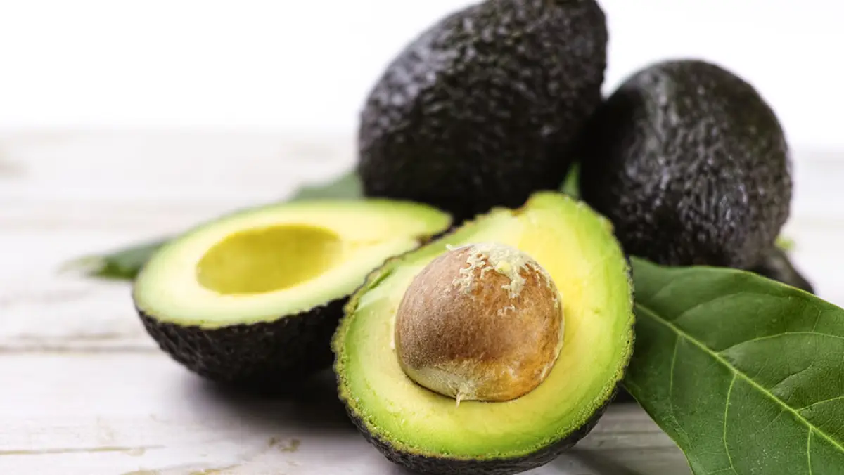 Aguacate