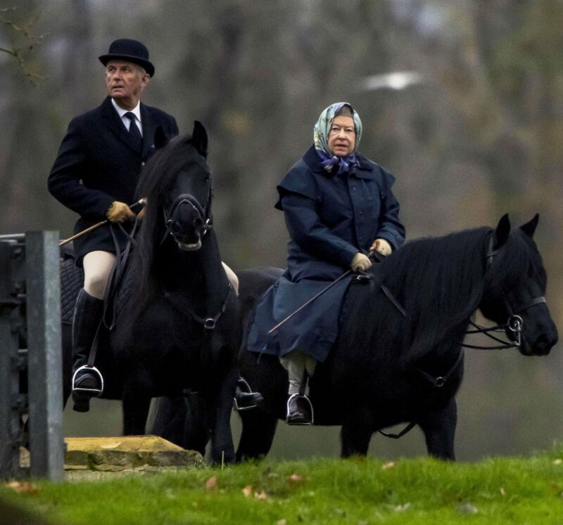 Reina isabel