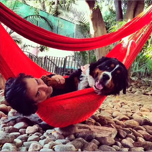 Él es Bruno, otro de los fieles compañeros del cantante.