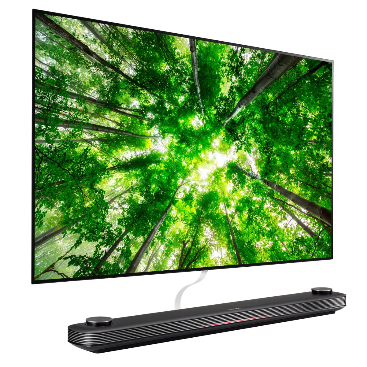 LG OLED TV 