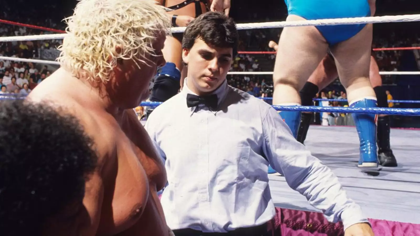 hijos de shane mcmahon
