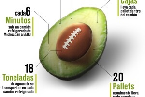 Aguacates exportados
