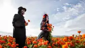 Festival de las Almas Jalisco 2026