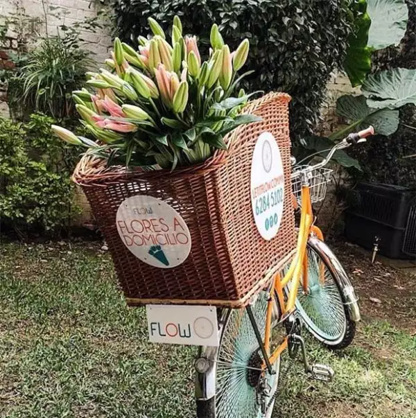 Tienen ideas súper originales, ¡pregunta por todo!