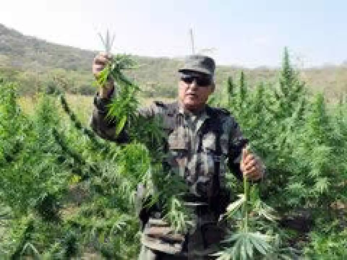 El narcotráfico es el principal origen de la violencia en México. (Foto: Notimex)