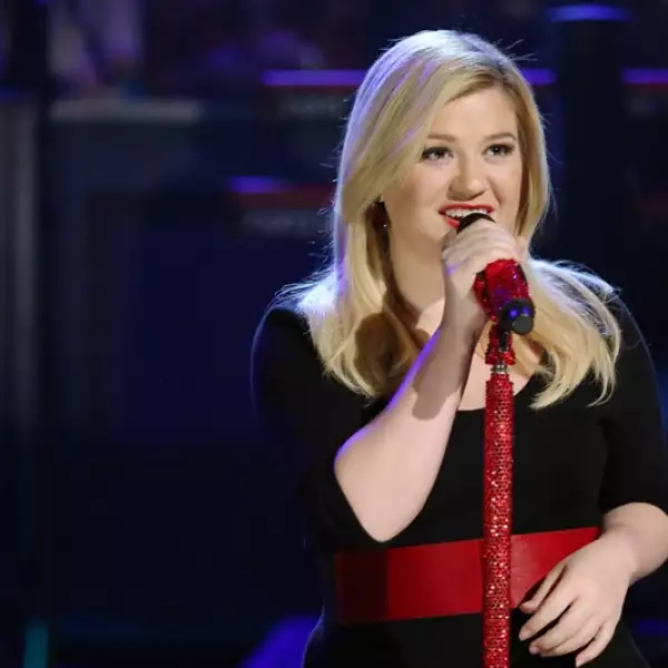 cantante en concierto