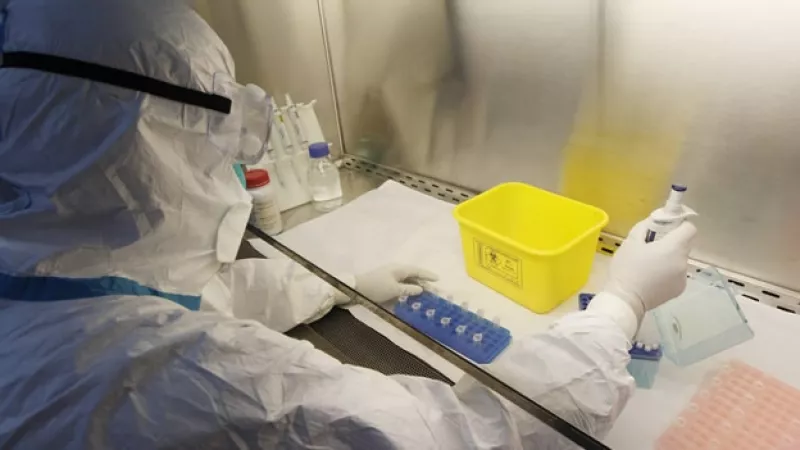 gripe aviar virus H7N9