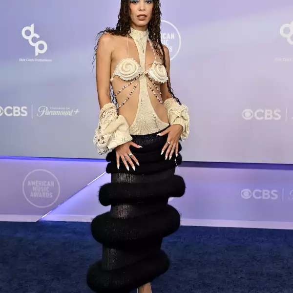 52nd American Music Awards - Arrivals
