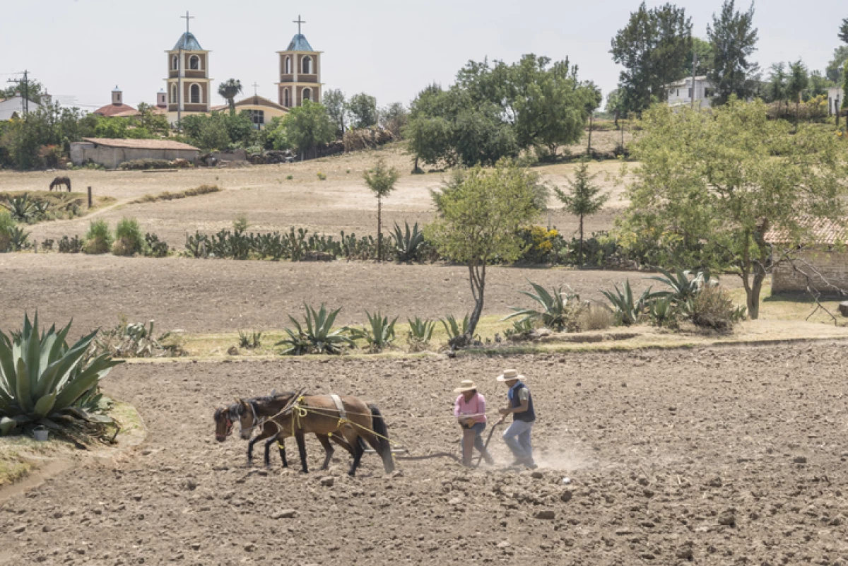 Pequeños productores rurales